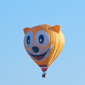 Comedy Cat Podcast. World-renown balloon experts Catherine Flugenhart and Kitty Amelia.