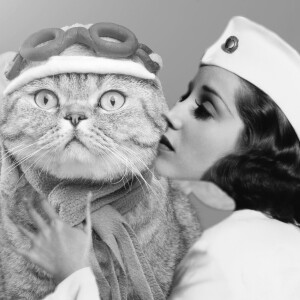 Cat Comedy! World’s oldest flight attendant and her cat! Cat comes between newlyweds!  George Clooney quadruplets.