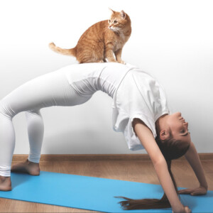 Cat Comedy! Yoga expert Jayne Lemon and companion Kitty LuLu. Cat resets all the clocks in the house.