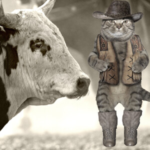 Cat Comedy. Cat wild west rodeo champ Kitty Lance.