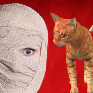 Cat Comedy! World-renown anthropologist Kitty Karloff.  Kitty Keanu taking pushpins from office bulletin board.