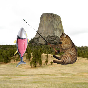 Comedy Cat podcast. Life with Bucky. Guests: world-renown tuna experts Julian Clock and Kitty Fruit Juice. Ricky Gervais telegram.