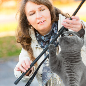 Cat Comedy. Children’s authors and windshield wiper inventors Mary Lizbeth Anderson and kitty Flufflestiltskin.