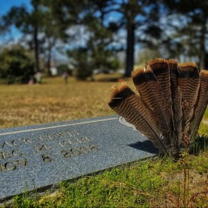 Another Pair of Feathers