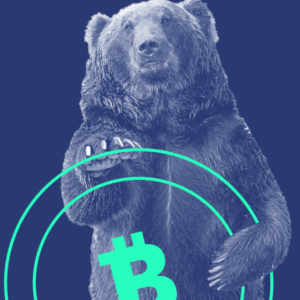 What Does Crypto VC Funding Look Like In A Bear Market?