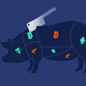 How Law Enforcement is Combating Pig Butchering Crypto Scams