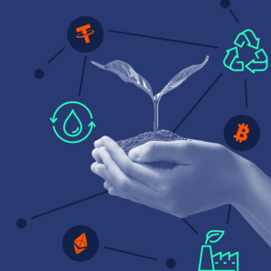 How Sustainable Blockchains Are Offsetting Their Carbon Footprint