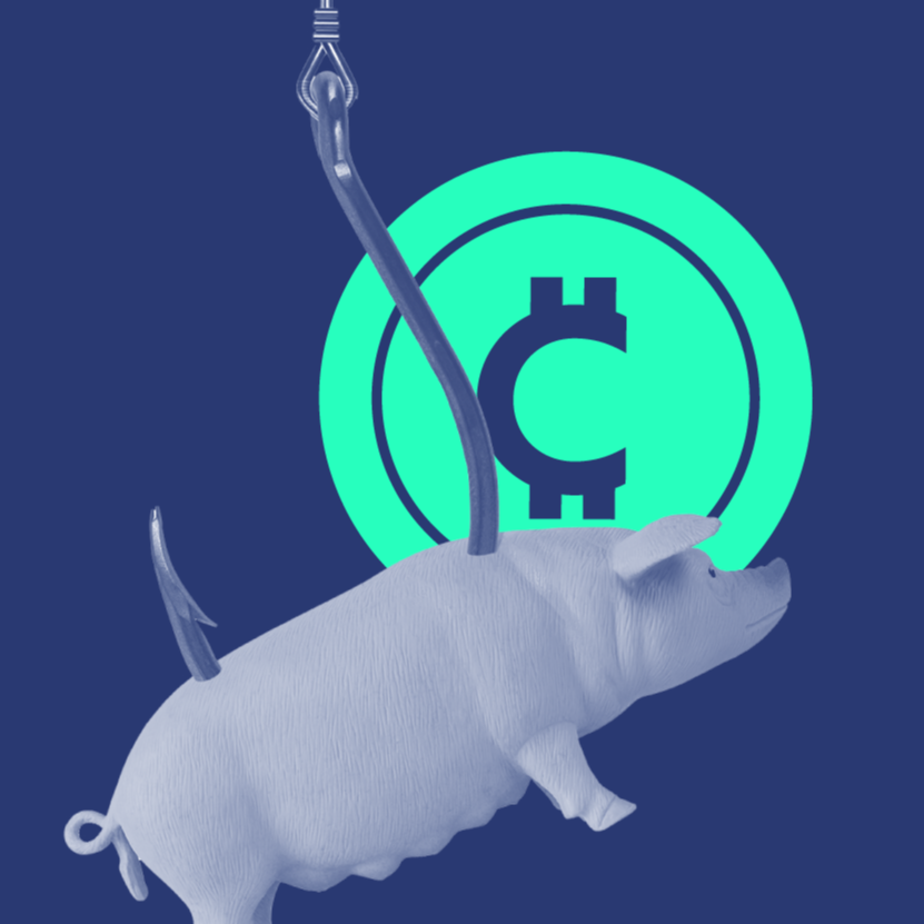 Public Key