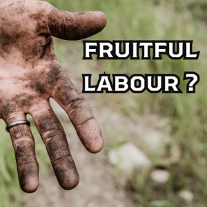 Labour Day 2023 - Fruitful Labour?