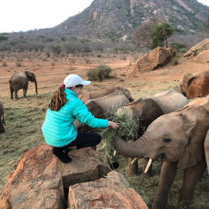 The Sheldrick Wildlife Trust