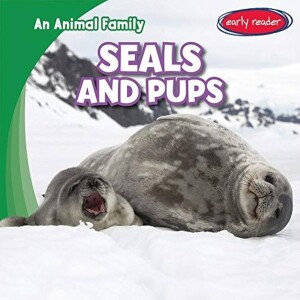 An Animal Family, Seals and Pups