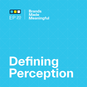 Episode 20: Defining Perception