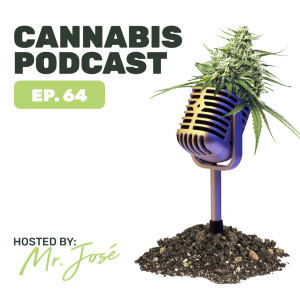 About cannabis nutrition and cultivation under LED with Jorg from Plagron