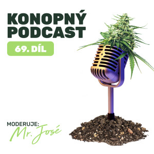 Jak se vyrábí konopná mast u Konopného Táty