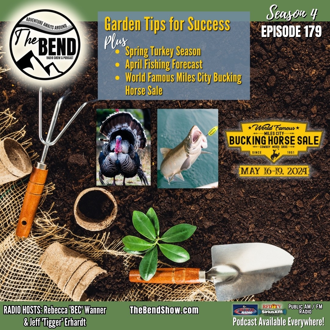 The Bend Show Radio & Podcast