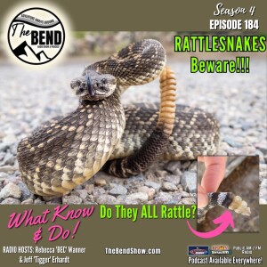 Beware Rattlesnake: Myths, Realities, & Life-Saving Tips