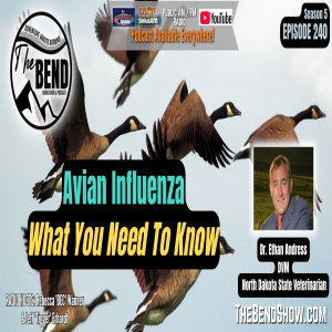 Avian Influenza: What You Need To Know About The Bird Flu
