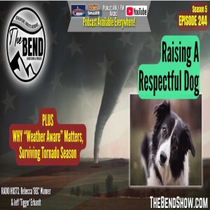 Train and Prepare: Raising Respectful Dogs & Surviving Tornado Season