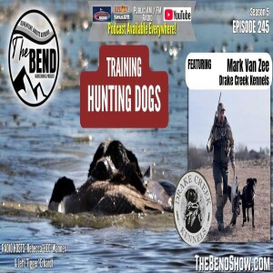 What to Know When Training a Hunting Dog