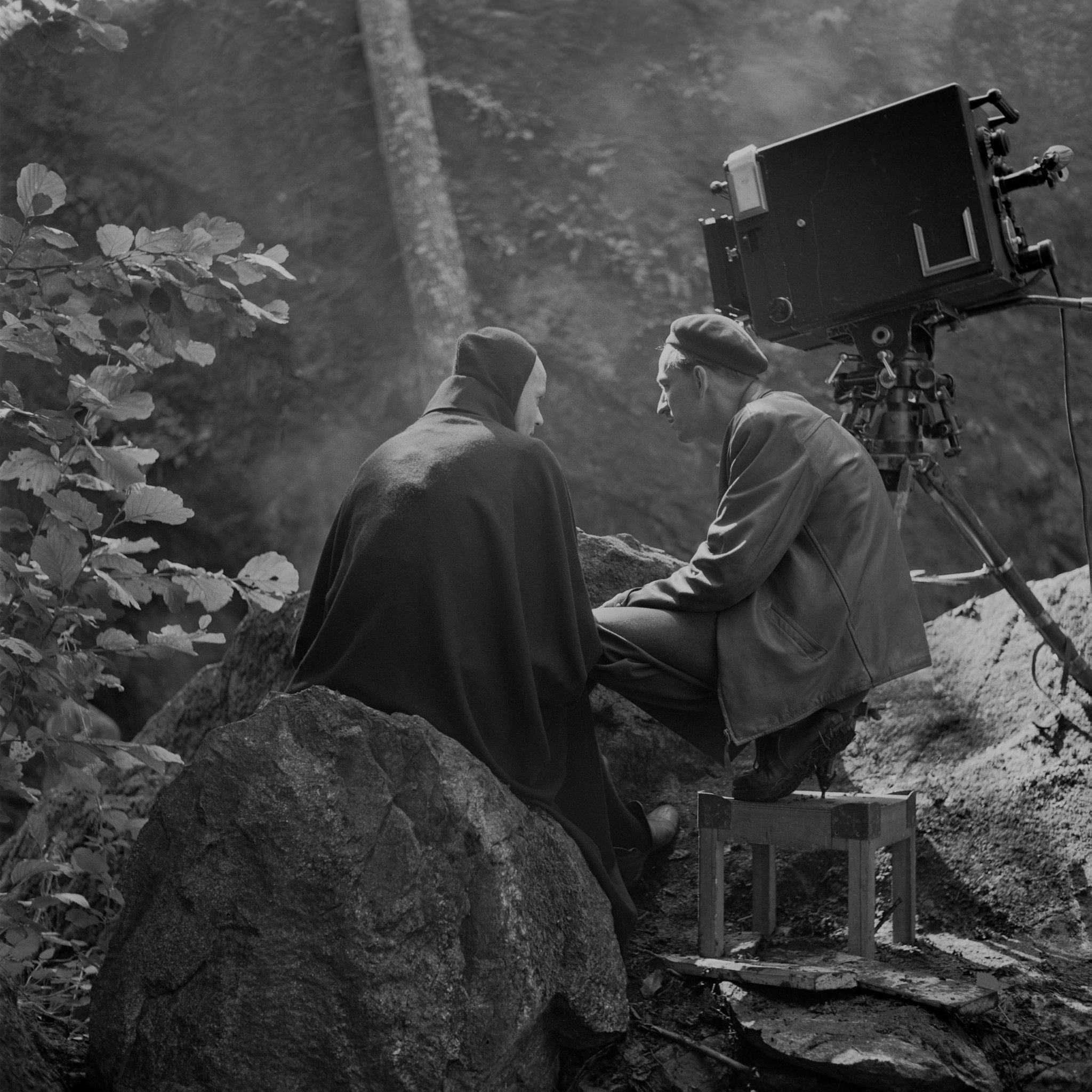  Ingmar Bergman &amp; The Seventh Seal
