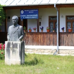 Presa culturală - Casa Memorială Vasile Voiculescu