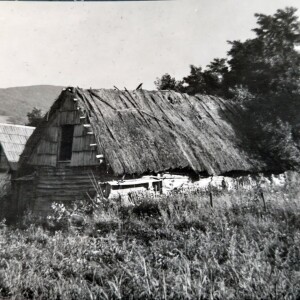 Presa culturală - Tradiții de primăvara din Țara Almăjului