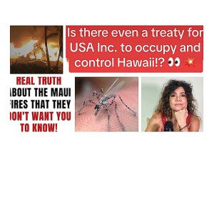 8/18/23 Is there even a treaty for USA Inc to occupy Hawaii? Seattle Morgue overrun with bodies! Drone mosquitoes to spy on you!