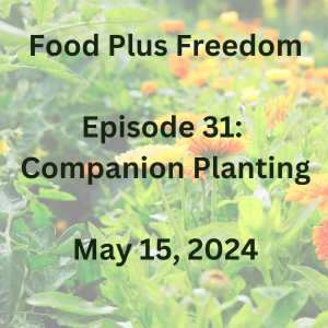 Episode 31: Companion Planting