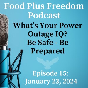 Episode 15:What's Your Power Outage IQ