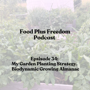 Episode 34: My Gardening Planting Strategy using Biodynamics