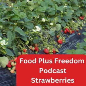 Podcast: Let's talk about Strawberries