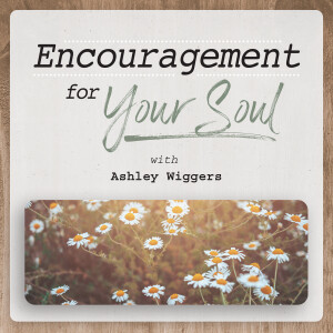 Encouragement for Your Soul | In Christ