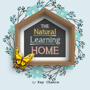 The Natural Learning Home | For the Love of LEGO