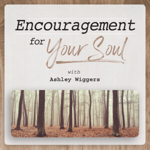 Autumn 2024 | Encouragement for Your Soul