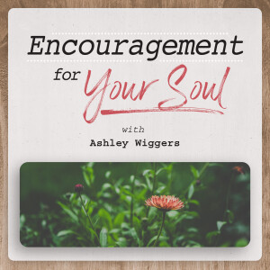 Encouragement for Your Soul | Volume 1, 2025