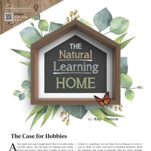The Natural Learning Home | The Case for Hobbies