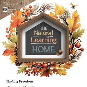 The Natural Learning Home | Finding Freedom