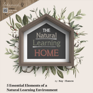 The Natural Learning Home | 5 Essential Elements of a Natural Learning Environment