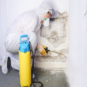 How to Restore Different Types of Water Damage With Professionals?