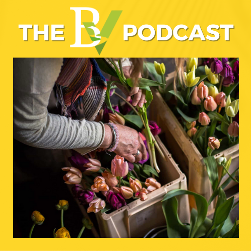 The BV: from the heart of Dorset