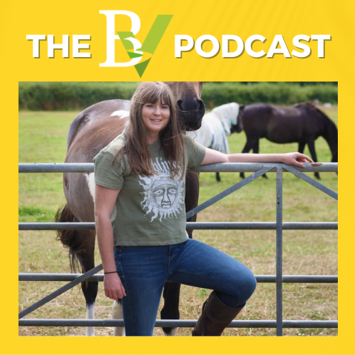 The BV: from the heart of Dorset