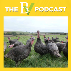 The GP’s call systems, good turkeys and Edward Hoare in the Random 19.