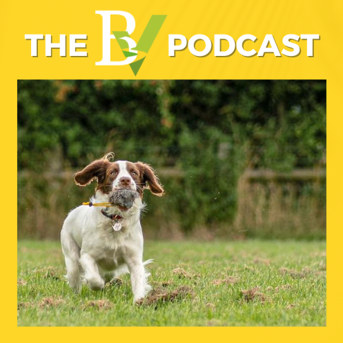 The BV: from the heart of Dorset
