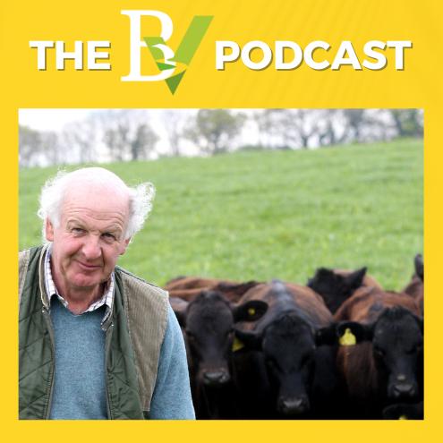The BV: from the heart of Dorset