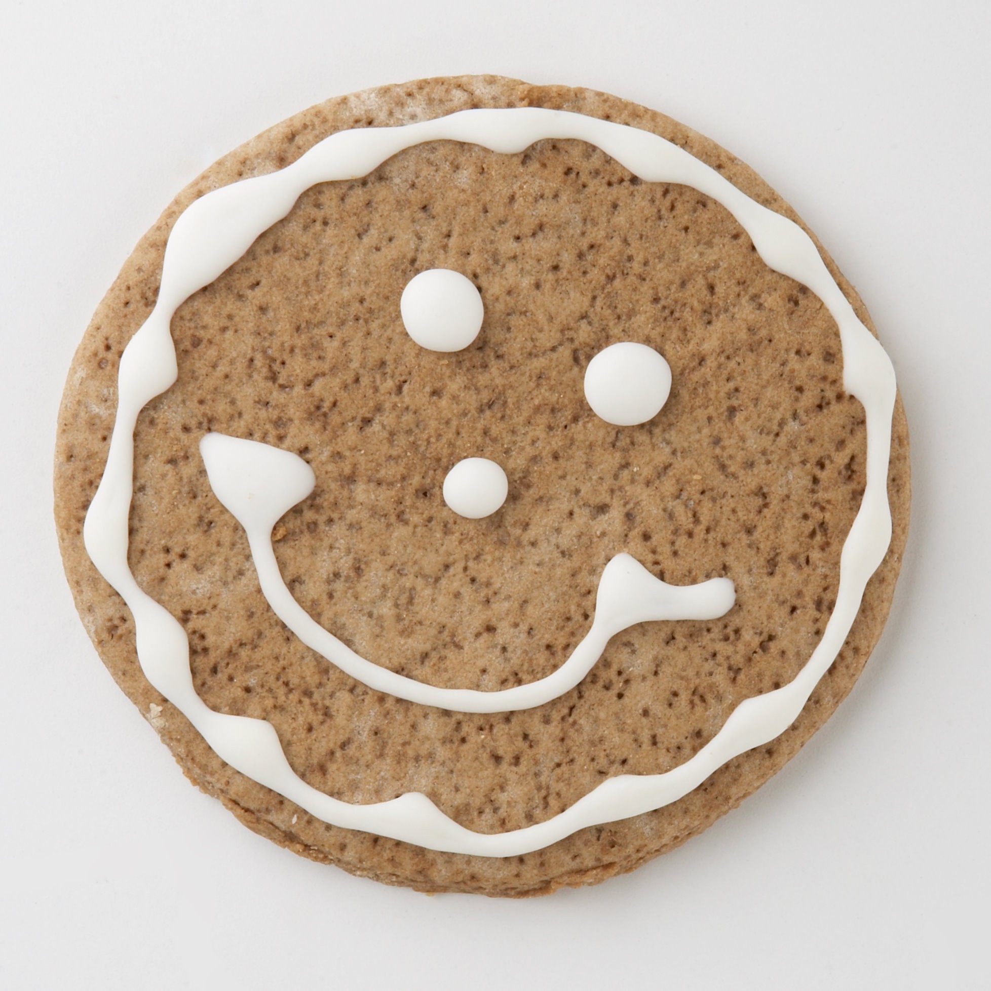 The Adventures Of Cookie Boy TEASER!
