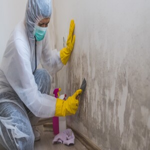 Is It Possible to Stay With Black Mould in Your Home?