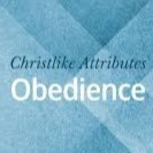 Episode 15: The Law of Obedience