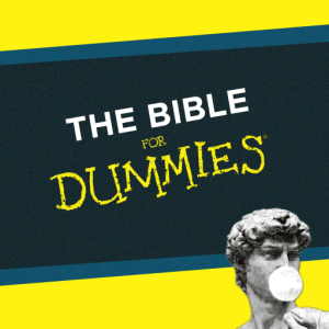 The Bible For Dummies: Which Bible Should I Read?