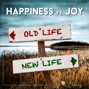 Happiness vs. Real Joy: Discover your identity and what success is to you.