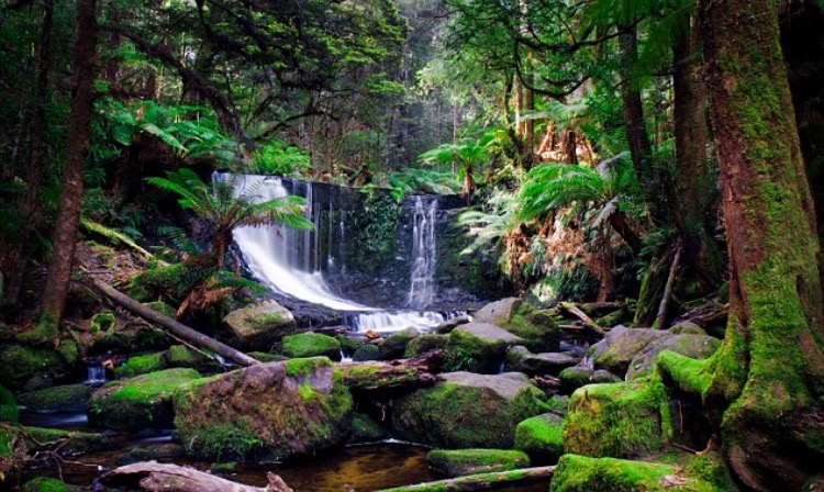 Sounds of Nature